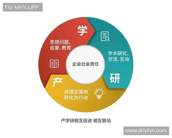 以社会责任为核心推动力构建和谐发展新模式探索与实践