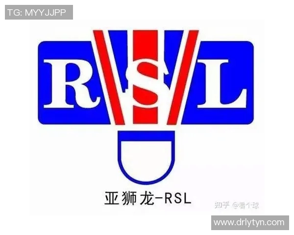 成都羽毛球队配合技巧深度对比与战术解析