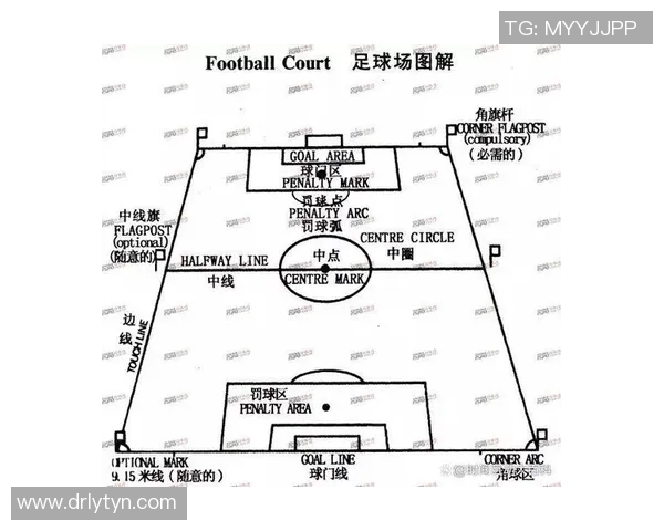 130号足球明星的身份揭秘与成就分析